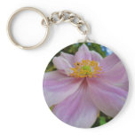 flower, pink, anenome, yellow, flora, nature