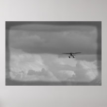 Anfibio de Cessna Posters