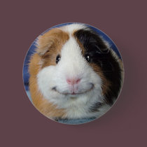 Angeelo buttons