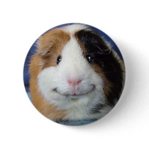 Angeelo Pinback Buttons