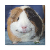 Angeelo Fridge Magnet