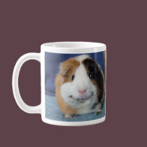 Angeelo mugs