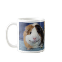 Angeelo mugs
