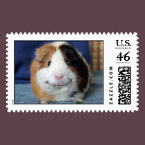 Angeelo postage