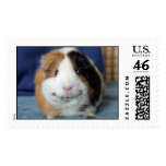 Angeelo Postage