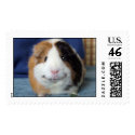 Angeelo postage by Fany001 Angeelo postage