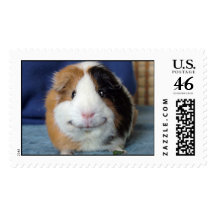 Angeelo Postage
