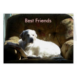 Angel 03212006, Best Friends Card