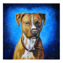 Ange - le Staffordshire Terrier américain posters