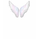Angel and Devil Ladies T-shirt shirt