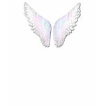 Angel and Devil Ladies T-shirt