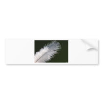 Angel bumper stickers