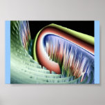 Angel Canyon Infinity II Poster