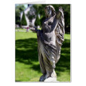 Angel cards