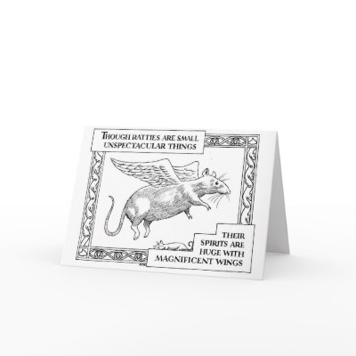 Angel Cards by Drusilla