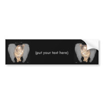 Angel Cat (Lucian) Bumper Stickers