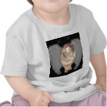 Angel Cat (Lucian) Tees