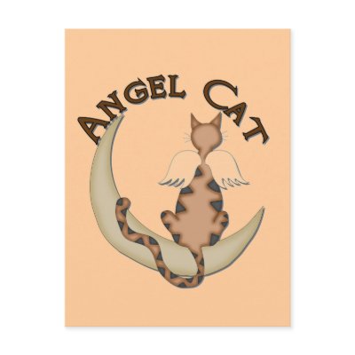 Angel Cat Post Cards by Peacock_Cards