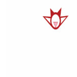 Angel City's Devil, Pec logo t-shirts