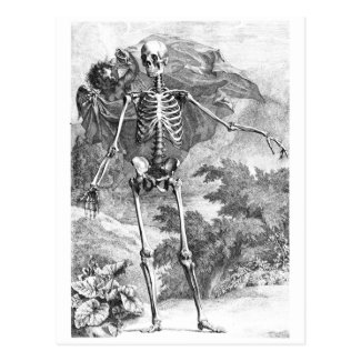 Angel covering a standing skeleton postcard