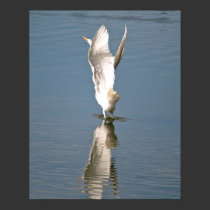 "Angel Egret" posters