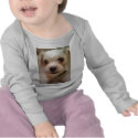 Angel Eyes... t-shirts by kanzart2 Angel Eyes... t-shirts