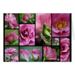 Angel Face Rose Collage Greeting Cards