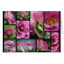 Angel Face Rose Collage Greeting Cards