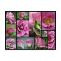 Angel Face Rose Collage postcards by OrphieG Angel Face Rose Collage postcards