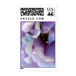 Angel Face Rose Stamp