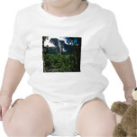 Angel Falls Baby Bodysuits