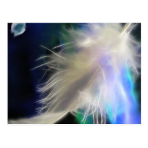 Angel Feather, postcard
