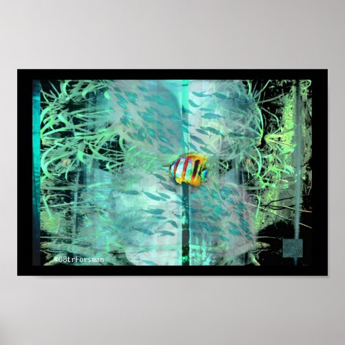 Angel fish aquarium weed fish collage poster print