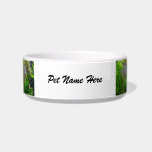 Angel Fish Cat Food Bowls
