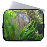 Angel Fish Computer Sleeve