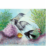 Angel Fish Photo Cut Out