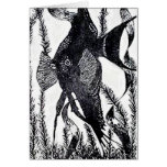 Angel Fish Post Card