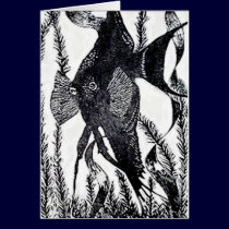 Angel Fish Post Card