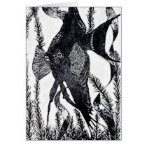 Angel Fish Post Card