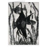 Angel Fish Post Card