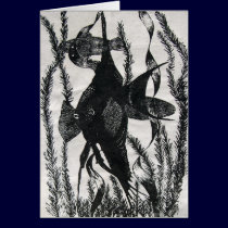Angel Fish Post Card