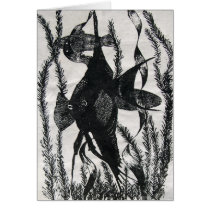 Angel Fish Post Card