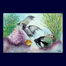 Angel Fish posters