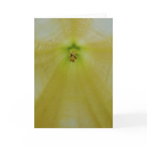 Angel Flower cards by ZeroToTwenty Angel Flower cards