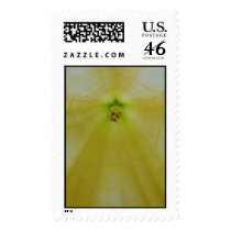 Angel Flower postage