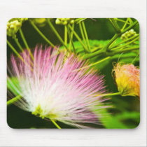 Angel Hair Mimosa mousepads