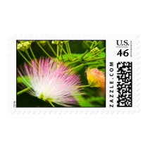 Angel Hair Mimosa stamps