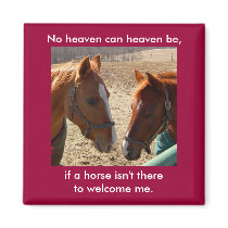 Angel Horses - magnet