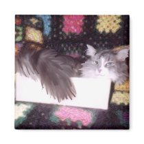 Angel in a Box magnet magnets