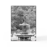 Angel in Central Park Cards